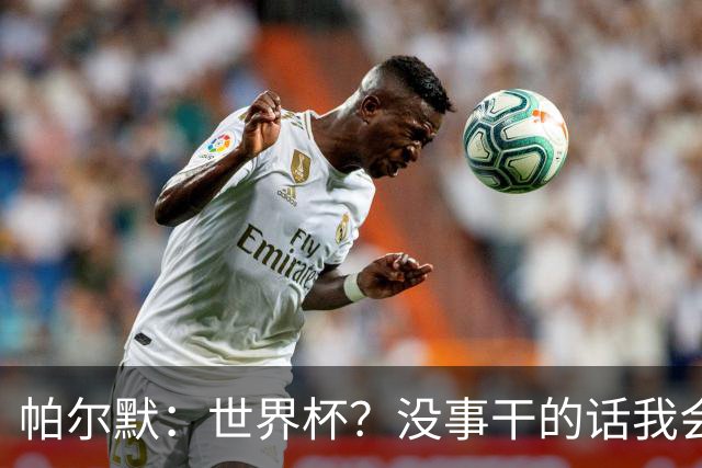 帕尔默：世界杯？没事干的话我会看看，我希望他们能走到最后